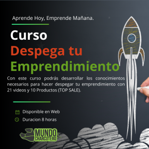 Curso Despega tu Emprendimiento